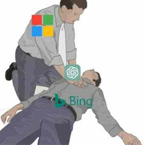 Obrázek 'meanwhile in Mrkvosoft '