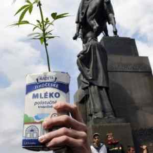 Obrázek 'meanwhile in Prague'