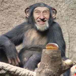 Obrázek 'meanwhile in ZOO DvurK'