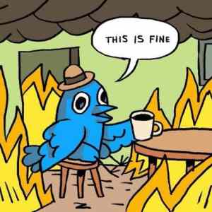Obrázek 'meanwhile in twitter hq its fine'