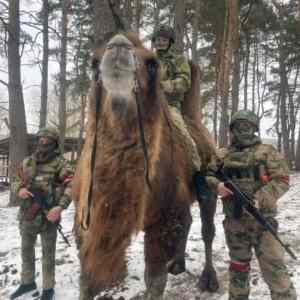 Obrázek 'meanwhile on battlefield '