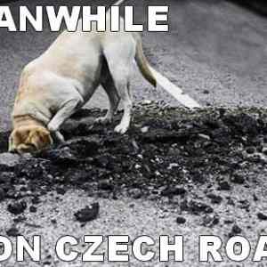 Obrázek 'meanwhileonczechroads'