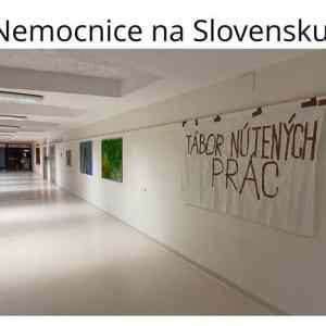 Obrázek 'meawhile on felvidek 3'