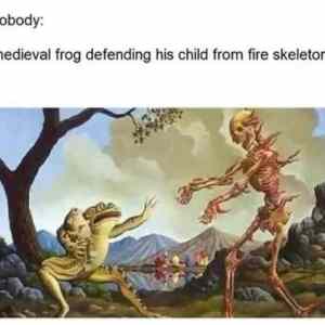Obrázek 'medfrog'