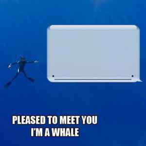Obrázek 'memes-im-a-whale'