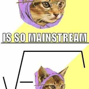 Obrázek 'memes-imaginary-hipster-kitty'