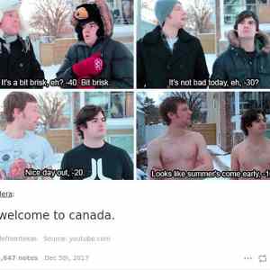 Obrázek 'memes about canada are as cool as the country itself '