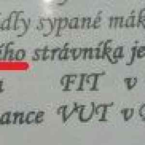Obrázek 'menicka'