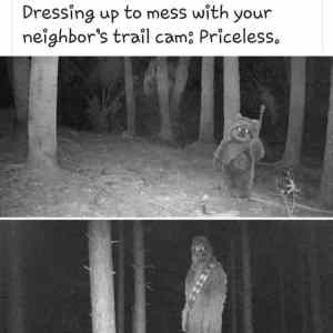 Obrázek 'mess with neighbor trail cam-priceless'