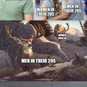 Obrázek 'mewom'