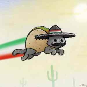 Obrázek 'mexican nyan cat by robthedoodler-d47aul5'