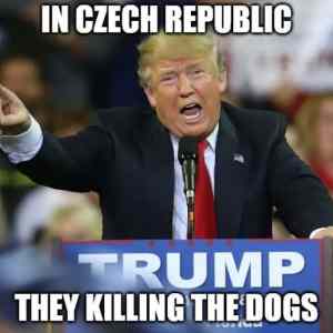 Obrázek 'mezitim v USA 2'