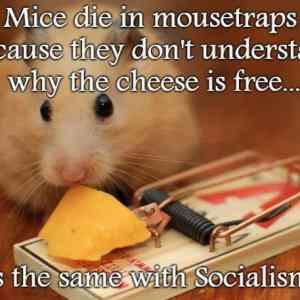Obrázek 'mic socialism'