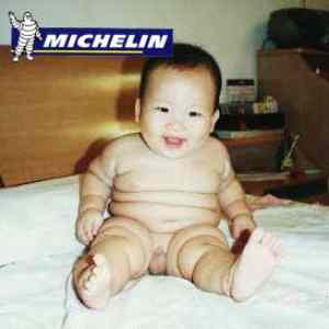 Obrázek 'michelinbaby'