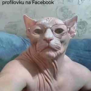 Obrázek 'midde age man selfie'