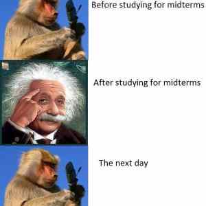 Obrázek 'midterms  '