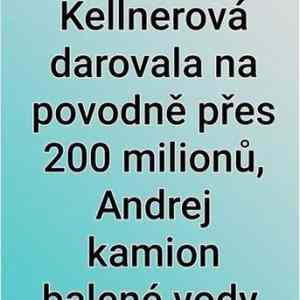 Obrázek 'miliardari vytopenym'