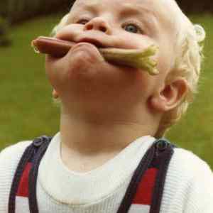 Obrázek 'milovnik zeleniny'