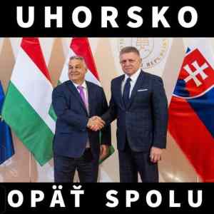 Obrázek 'mindent vizsa felvidek'