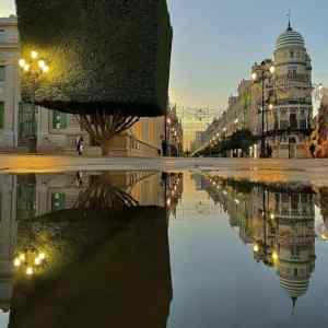 Obrázek 'minecraft&nbsp;strom'