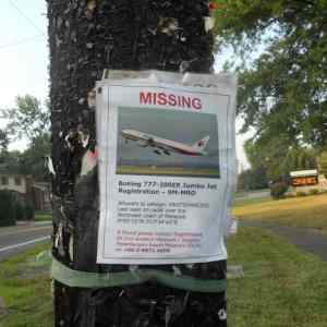 Obrázek 'missing plane'