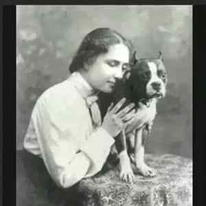 Obrázek 'mittens&nbsp;540'