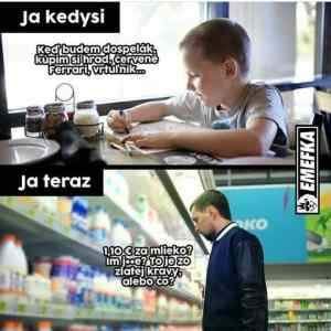 Obrázek 'mlieko z kravy'