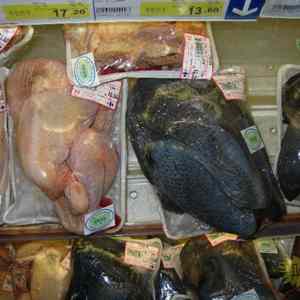 Obrázek 'modre&nbsp;kure'