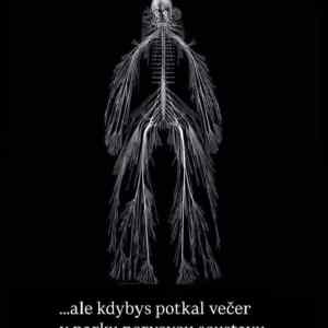 Obrázek 'moje&nbsp;nervy'