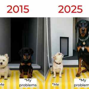 Obrázek 'moje problemy krasne vyrastli'