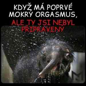 Obrázek 'mokrazmus'