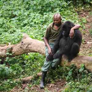 Obrázek 'monkey and monkey'