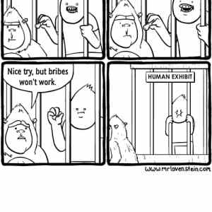 Obrázek 'monkey peanut'