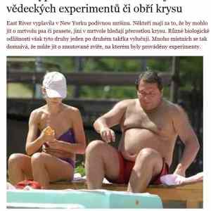 Obrázek 'monstrum v new yourku' Obrázek 'monstrum v new yourku'