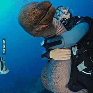 Obrázek 'moooja&nbsp;rybickaaa'