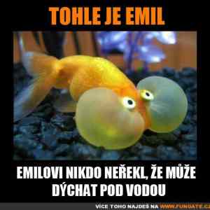Obrázek 'morsky&nbsp;emil'
