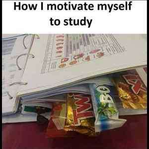 Obrázek 'motivate-study'