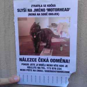 Obrázek 'motorhead&nbsp;kocka'