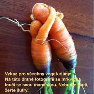 Obrázek 'mrkvicka pro vegetariany'