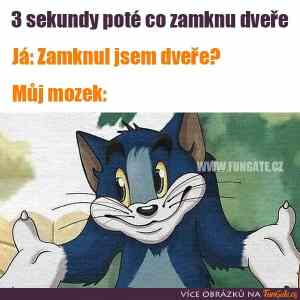 Obrázek 'muj mozek'