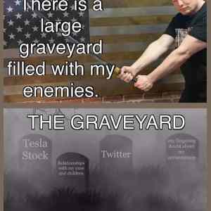 Obrázek 'musk graveyard'