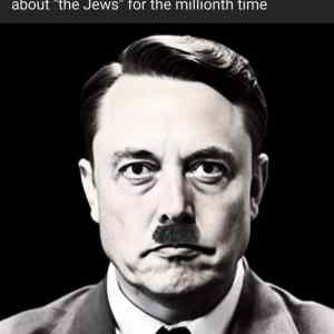Obrázek 'musk jew'