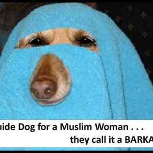 Obrázek 'muslim guide dog '