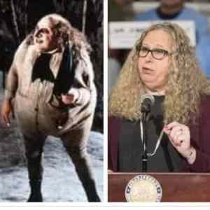 Obrázek 'muz roku'