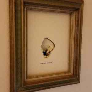 Obrázek 'my ex framed her angry punch in the wall always remember 540'