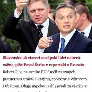 Obrázek 'na debilov co nas volia'