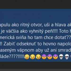 Obrázek 'na internete cenzuruju komentare oh wait'