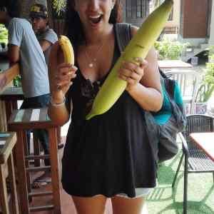 Obrázek 'na&nbsp;vanoce&nbsp;topri'