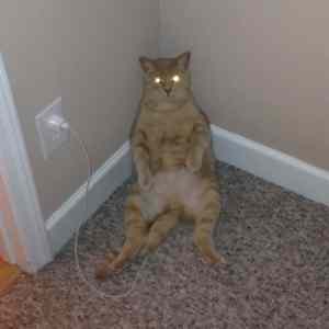 Obrázek 'nabijeni&nbsp;&nbsp;'