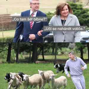 Obrázek 'nahani volice'